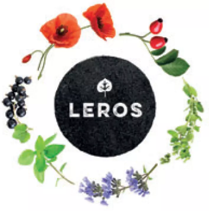 leros_logo.png